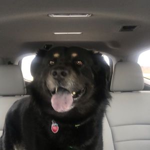 Meet your Posher, Pat